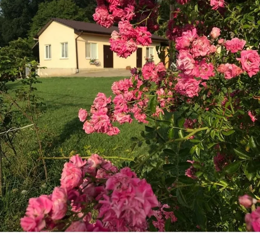 Коттедж Уютный домик в деревне под ключ — аренда посуточно в Гудаута