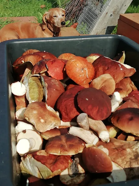 Дом на полуострове Лункулансаари