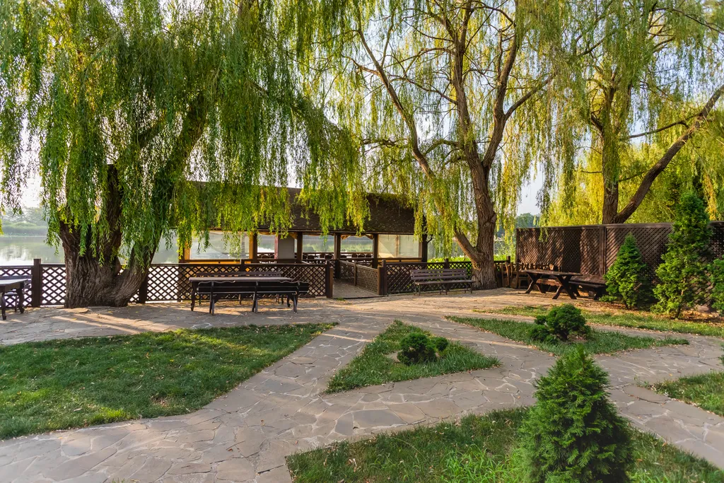 Номер в гостинице с зоной барбекю