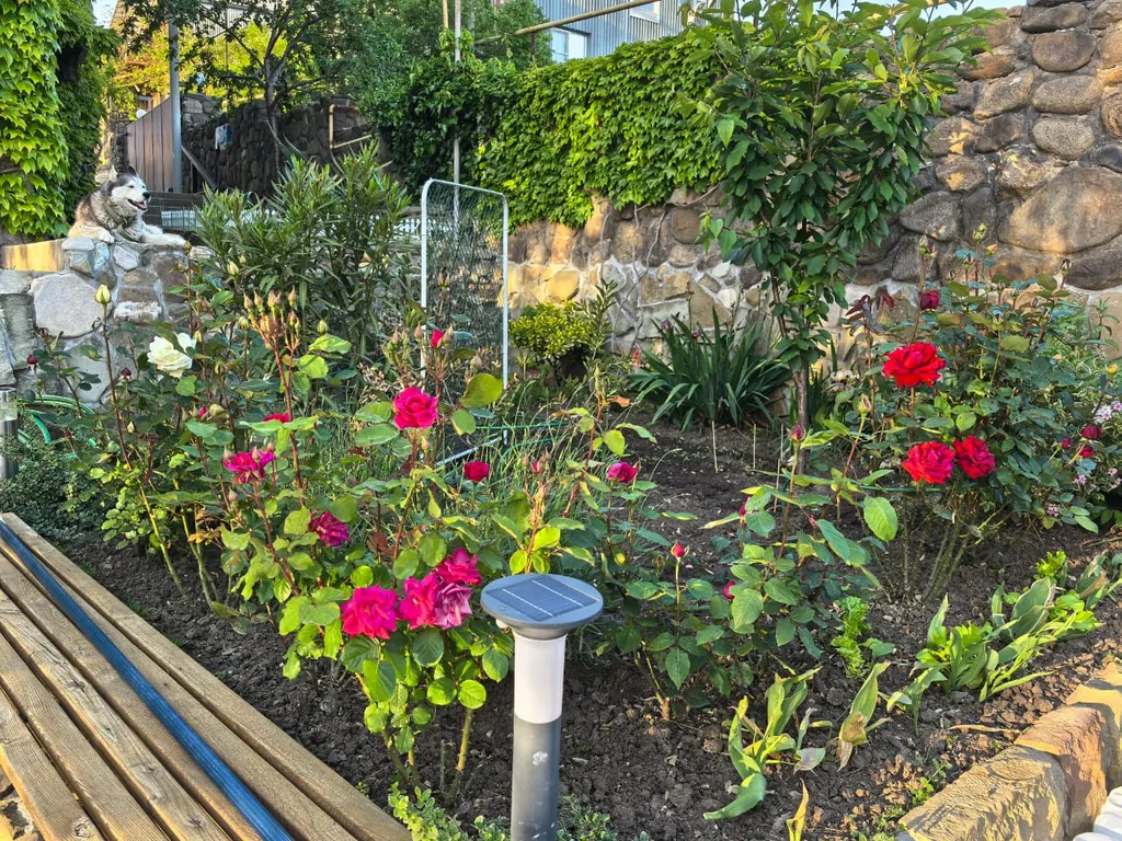 Двухкомнатная апартаменты   с теплым бассейном  у моря.