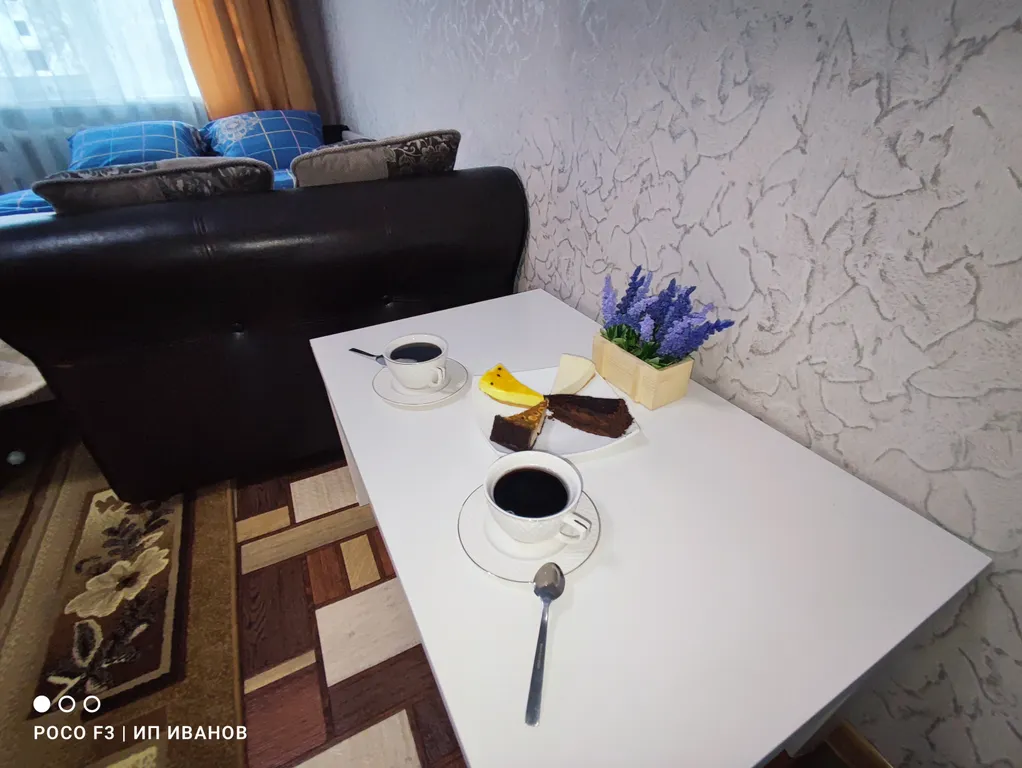 Уютная чистая квартира в центре города