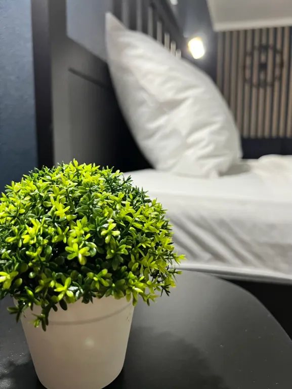 Удалённый check-in, электронный замок, центр, netflix + megogo