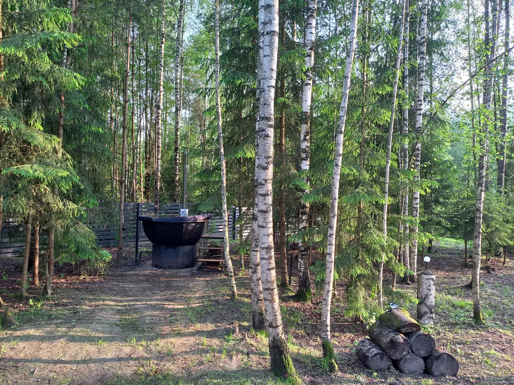 Дом Барин Лес