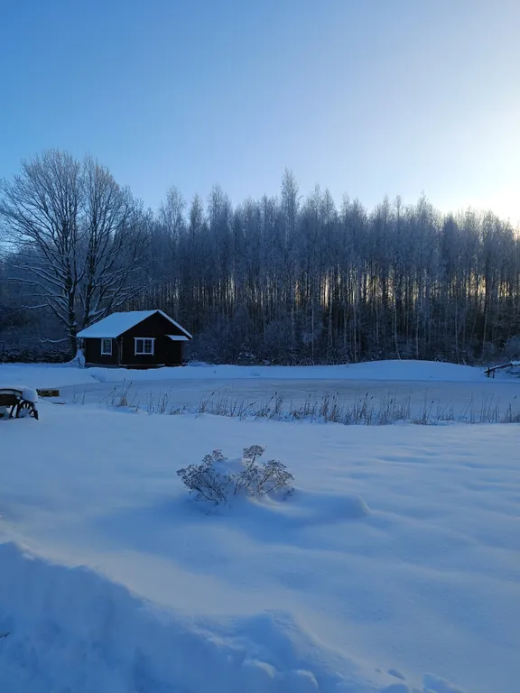 Дом у пруда