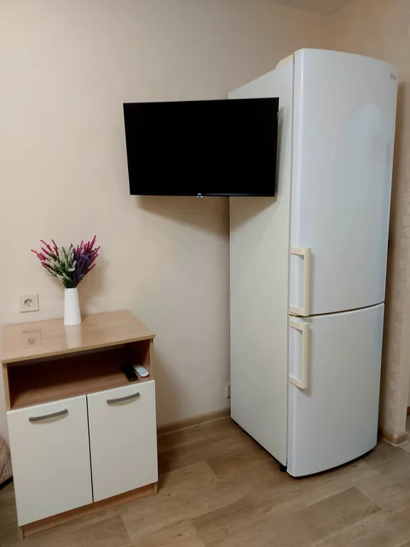 Квартира-студия Гармония