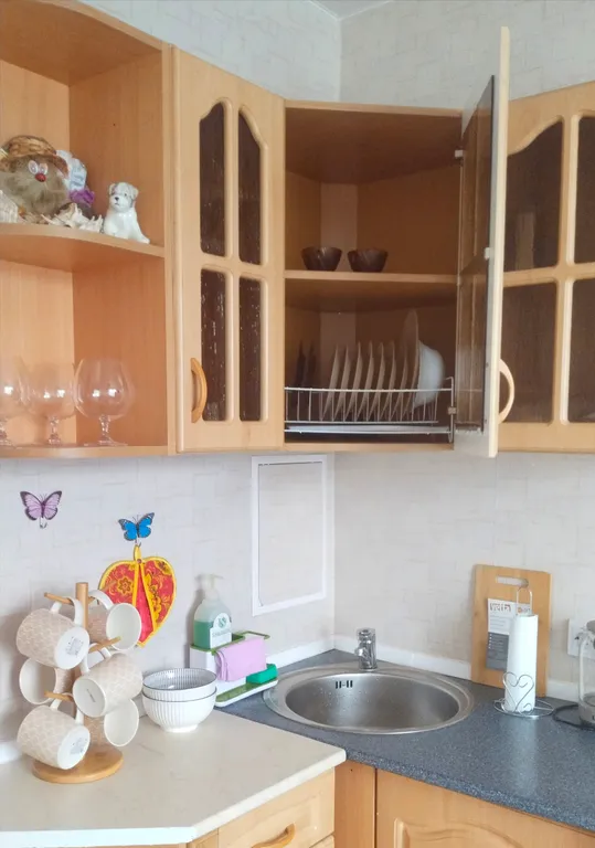 Квартира Уютная квартира в спальном районе — Шушары