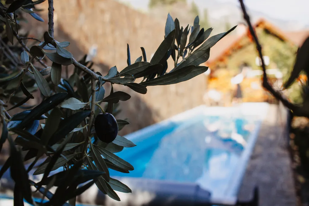 Дом с теплым бассейном у моря в Ялте