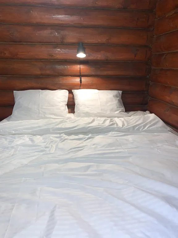 Дом в соснах