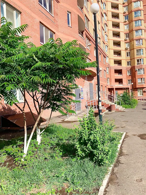 Прекрасная квартира с новым ремонтом