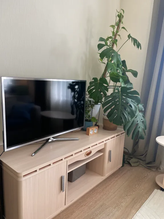 Квартира художника на Черной речке