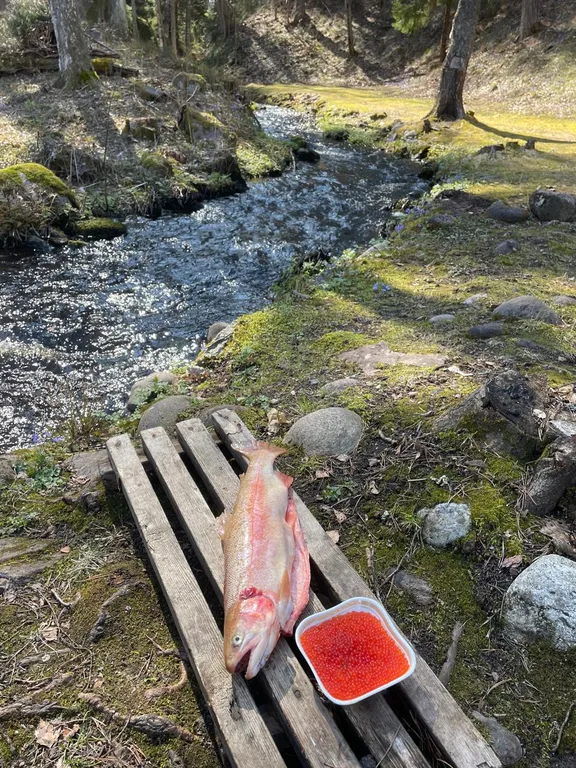 Коттедж Новый дом на Ладоге рядом с пляжем — Приозерск