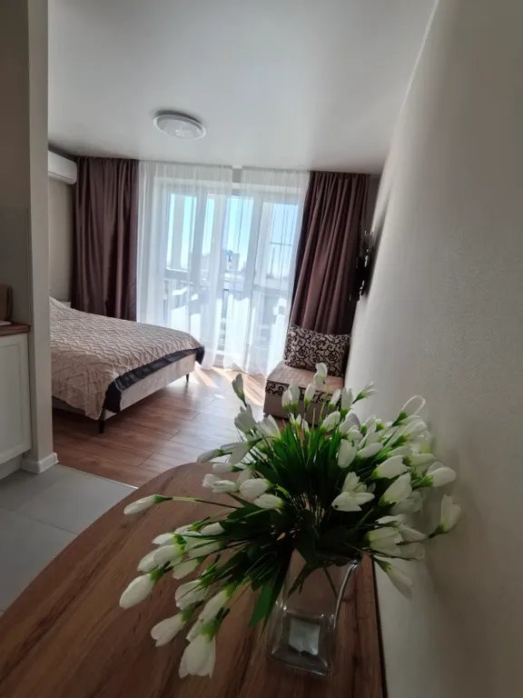 Уютная студия с красивым видом на город