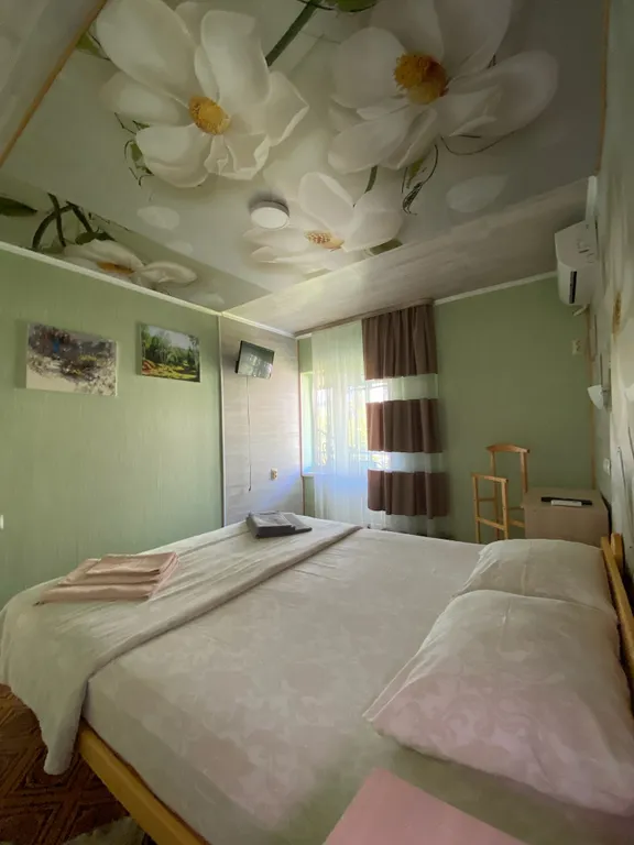 Четырехместный двухкомнатный номер с балконом с видом на горы