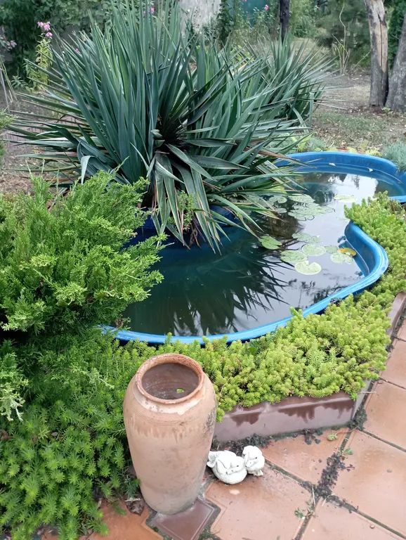 Отдельная квартира в частном доме с садом