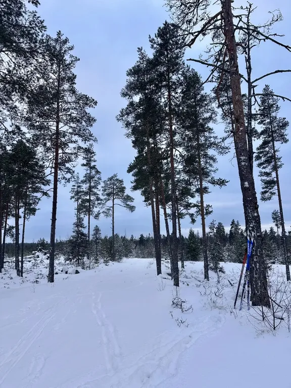 Уютный домик на берегу речки