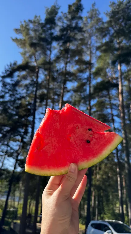 Стильный дом на берегу Ладожского озера с панорамным видом