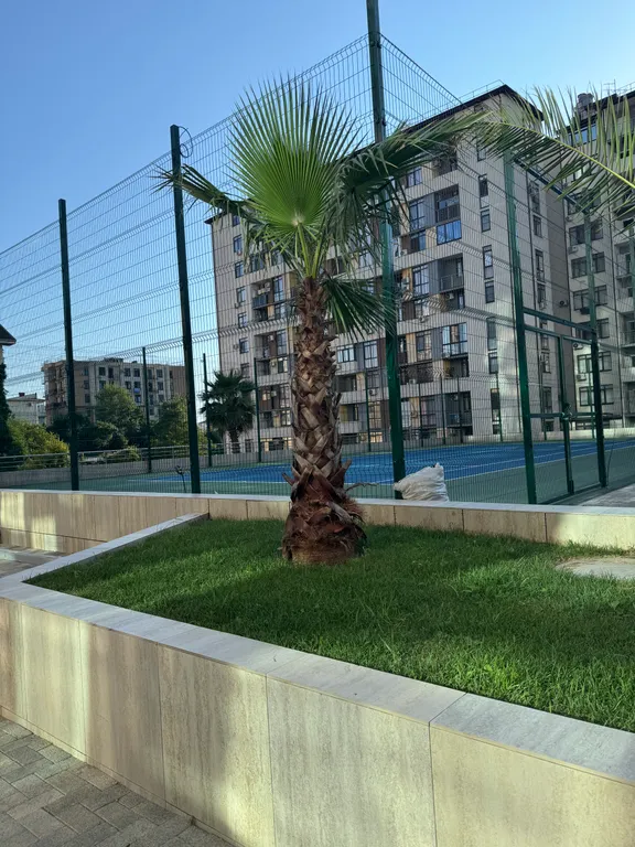 Квартира Квартира Уютная студия в самом живописном микрорайоне города — Сочи