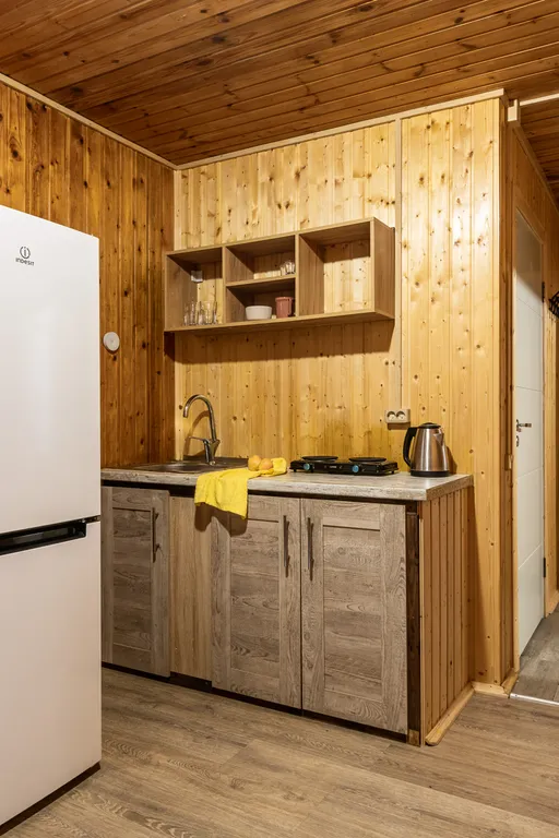 Коттедж 1-комнатный Дом — Лебяжье