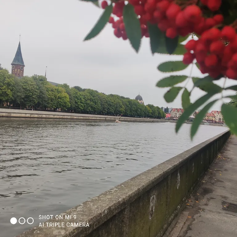Квартира Квартира Гармония на берегу Рыбной Деревни — Калининград