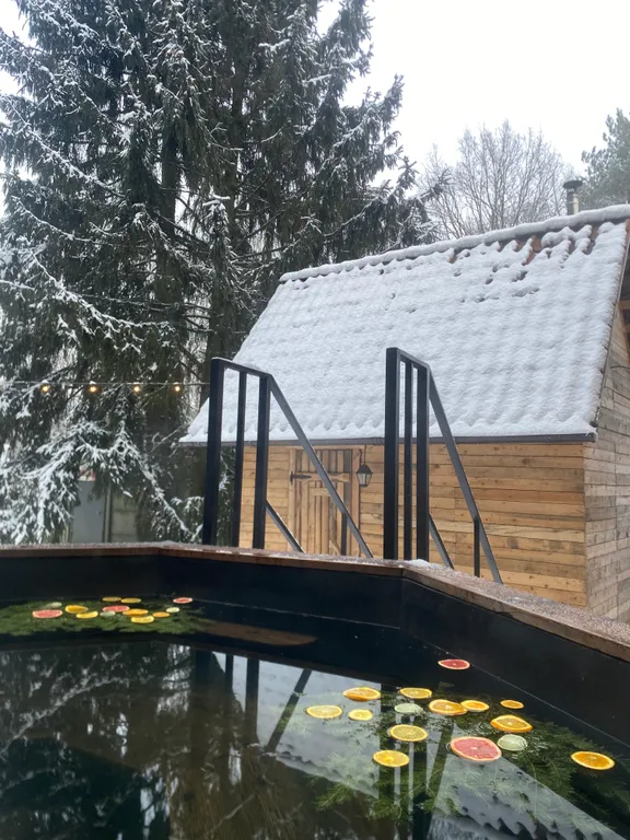 Дом с камином в лесу возле залива