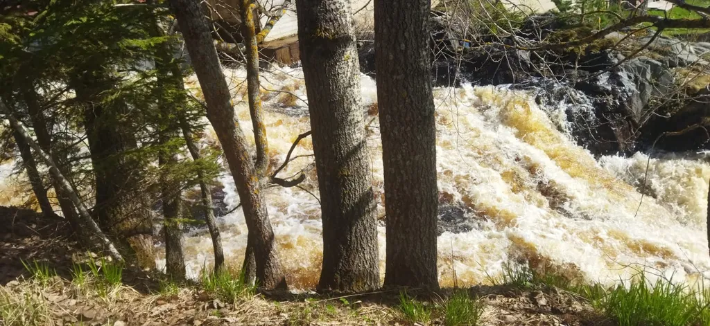 Апартаменты с видом на реку
