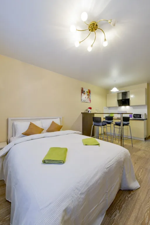 Квартира Студия в ЖК Менделеев — аренда посуточно в Химки