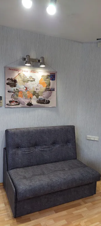 Большая квартира на Ольгином пруду.