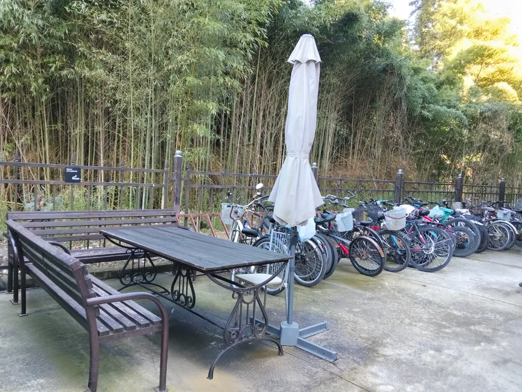 Студия возле моря