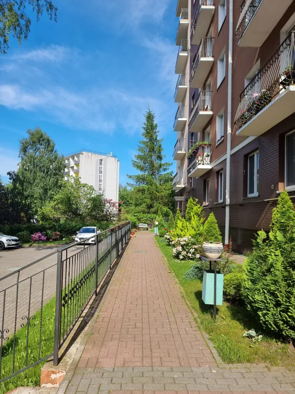 Квартира 1-комнатная Квартира — Светлогорск