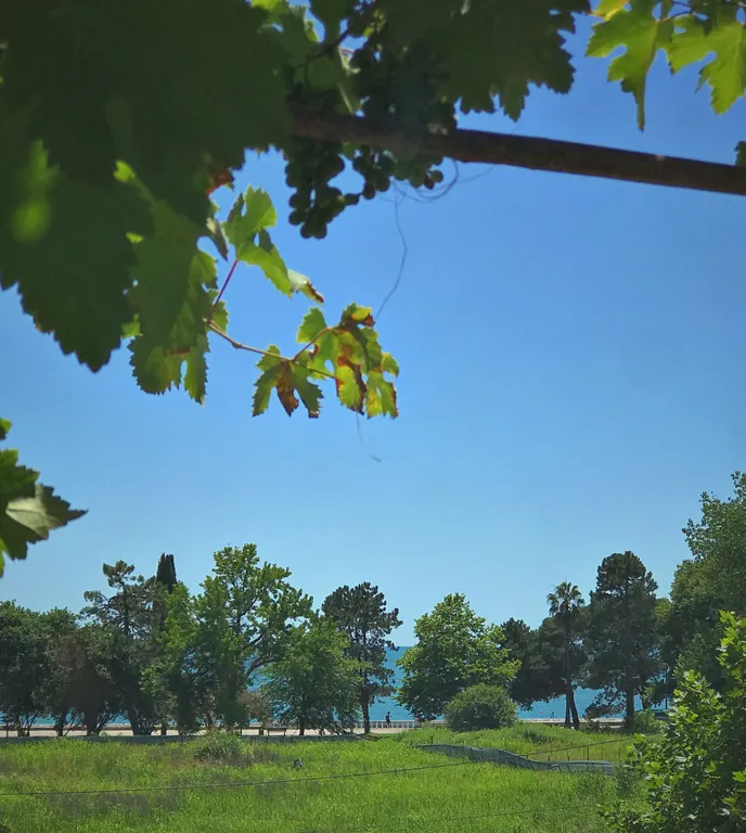 Студия у моря в центре города