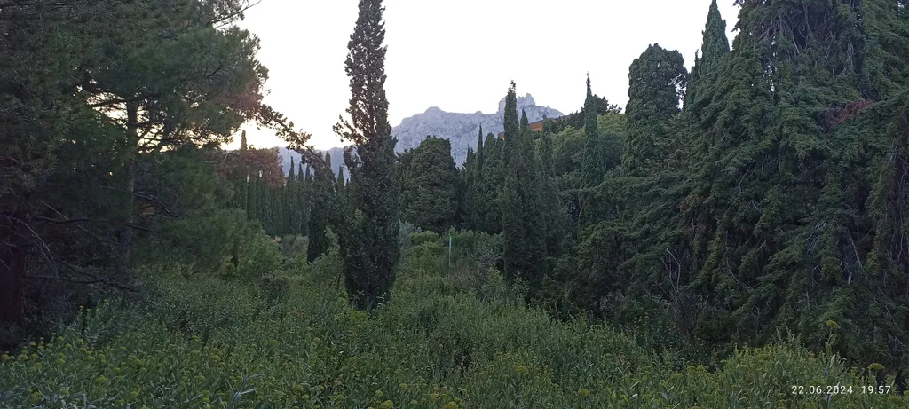 Апартаменты Кореиз (Мисхор)