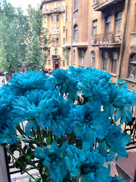 Квартира Комната — Санкт-Петербург