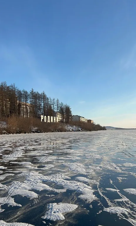 Уютная студия с видом на лес