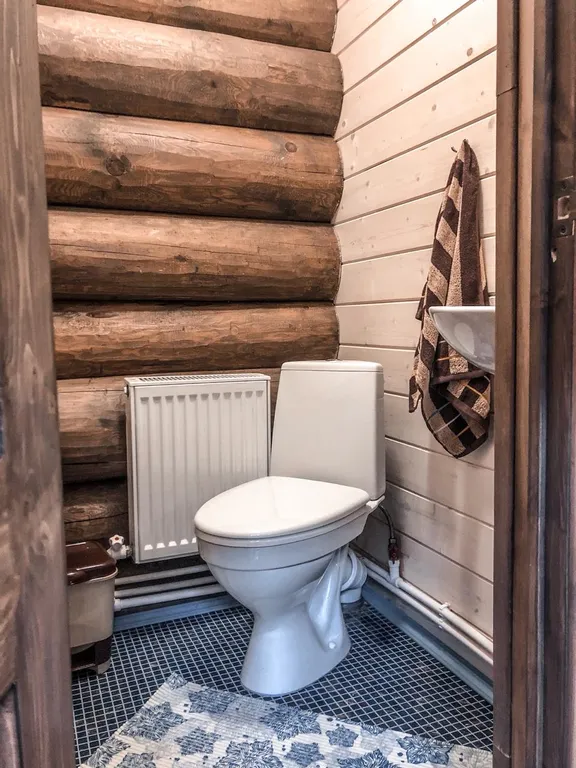 Дом в лесу на берегу реки Пра