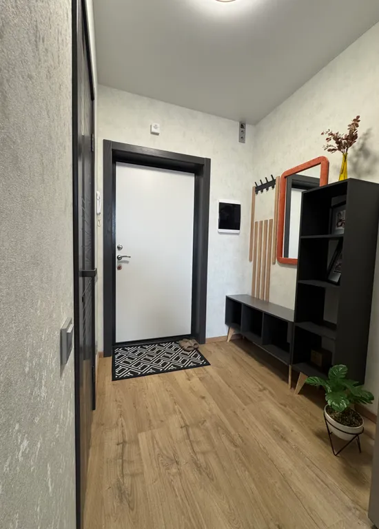 Квартира с большой кухней-гостиной и уютной изолированной спальней