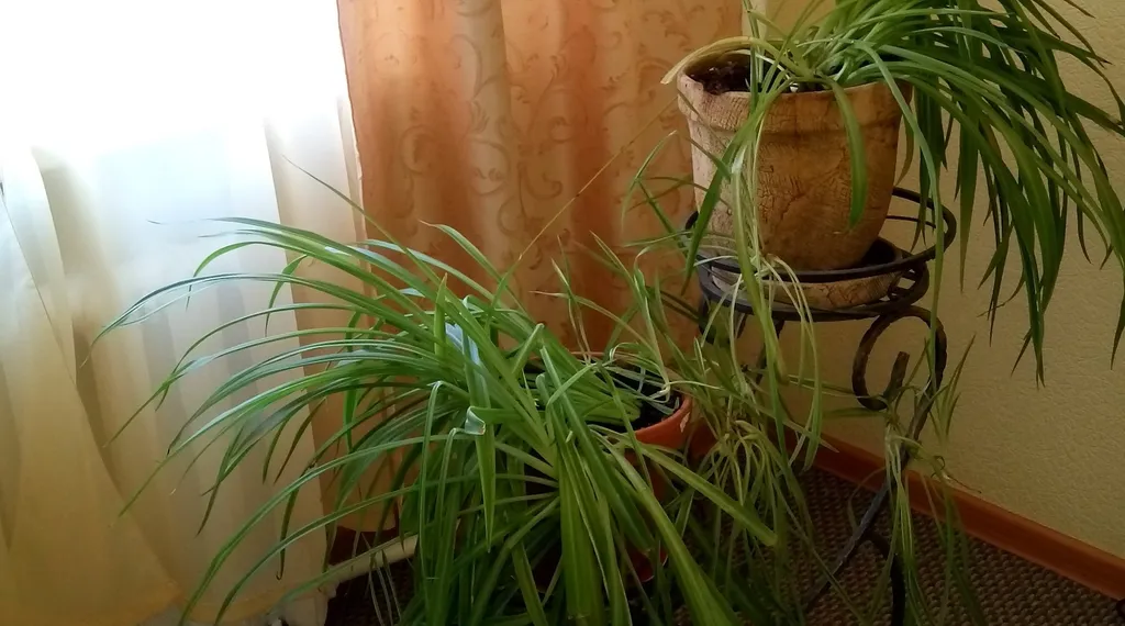 2-комнатная квартира ж/д р-н