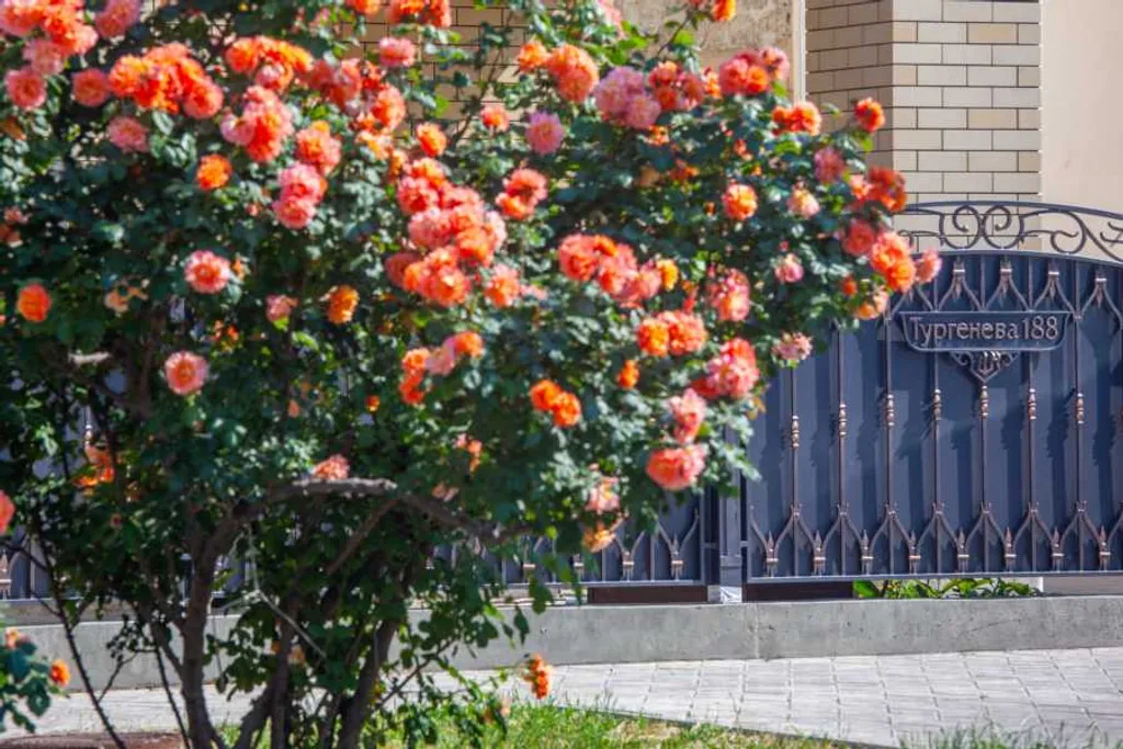 Квартира Комната — Анапа