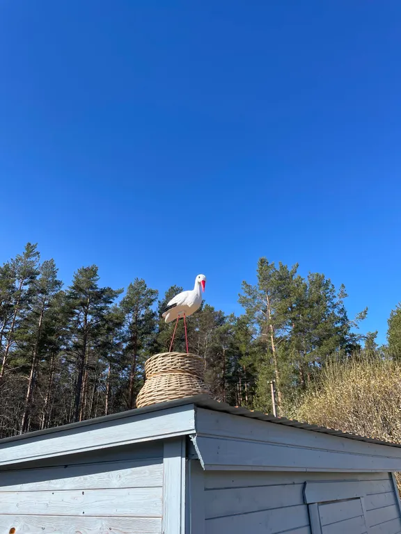 Коттедж Уютный просторный дом у лесного озера — Ларионово