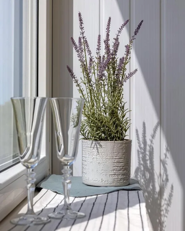 Уютная квартира у моря