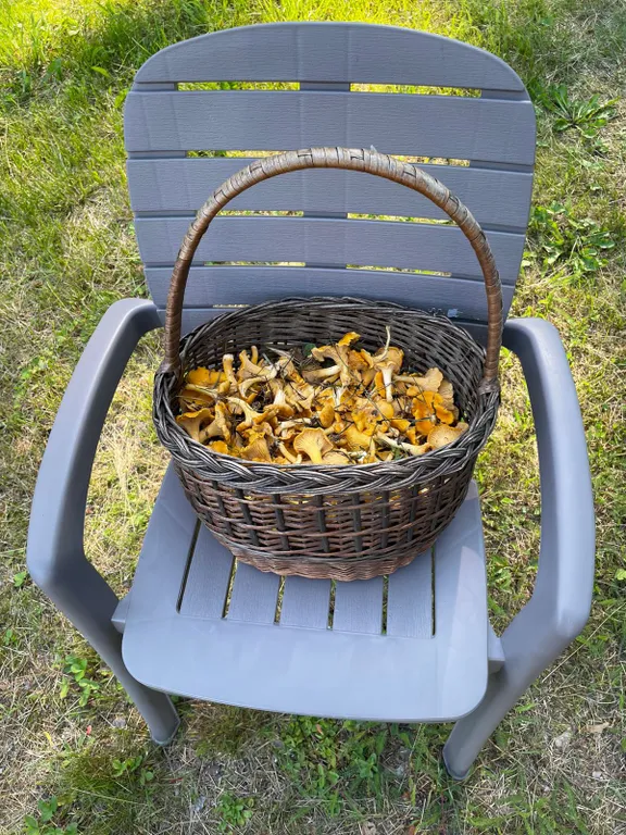 Коттедж Уютные дома аттик А-фрейм у Снетковского озера — Ларионово