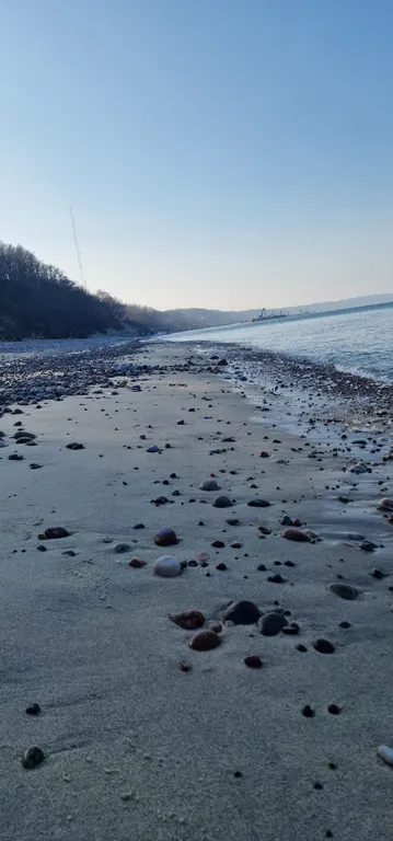 Квартира на берегу Балтийского моря