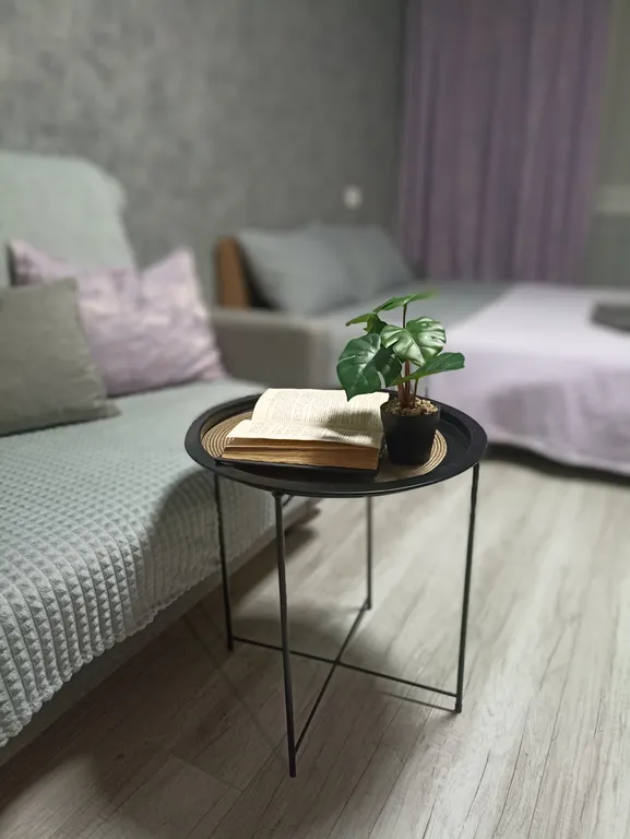 Квартира Апартамент с видом в Песочне — аренда посуточно в Рязань