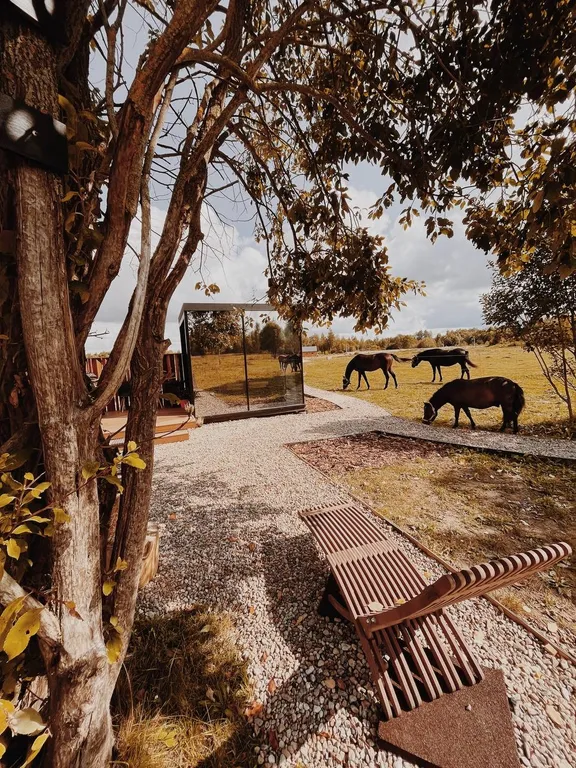 Дом в поле с лошадьми