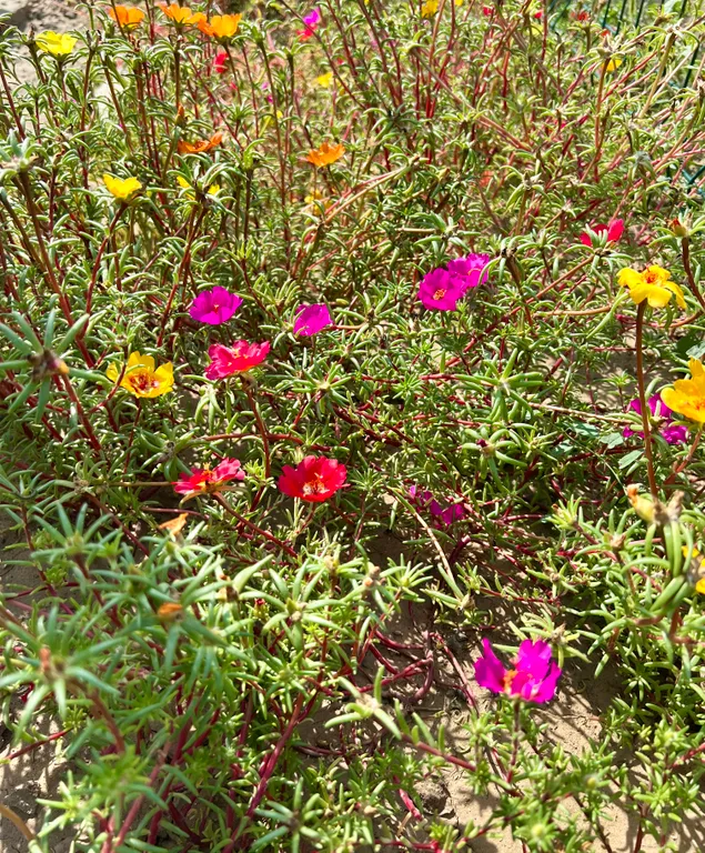 Уютный сруб 4 в центре станицы