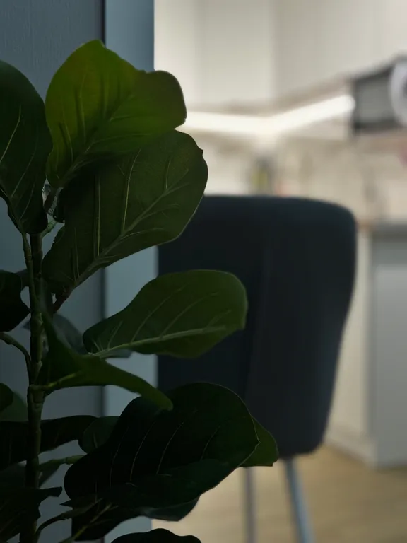 Уютная двухкомнатная квартира у моря, в центре города