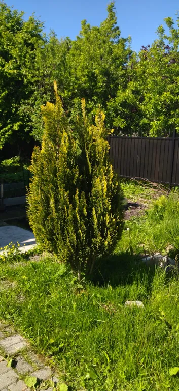 Дом у моря на лето