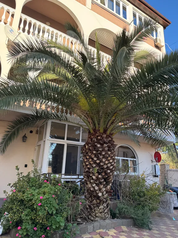 Новая студия недалеко от моря