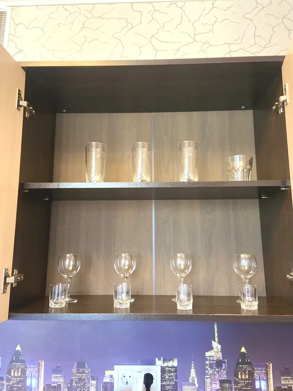 Шикарная однокомнатная квартира