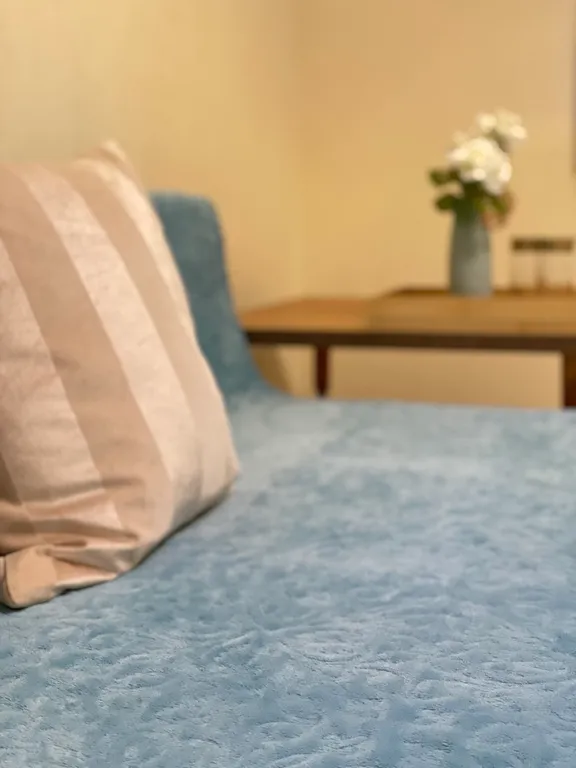 Очень просторная квартира свободной планировки