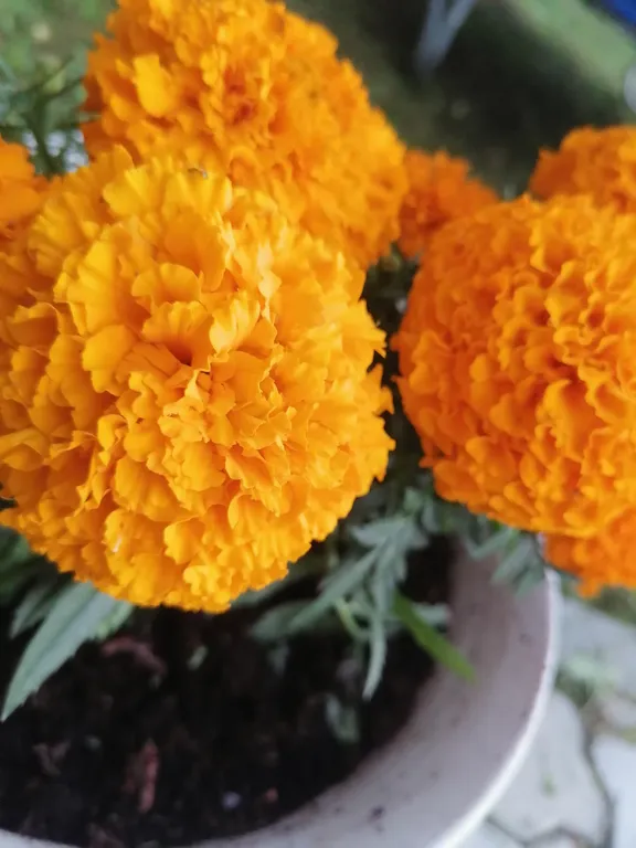 Коттедж Домик Валери — Казань